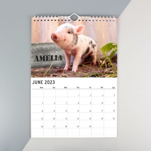 
                            Personalised A4 Cute Animals Calendar