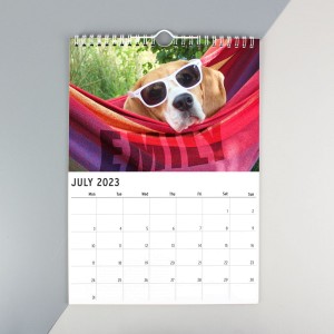 
                            Personalised A4 Barking Mad Calendar